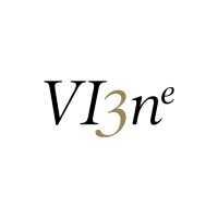 Vi3ne logo - Similar company to Rebel Bricks
