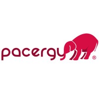 Pacergy LLC logo - Similar company to Northern Star Scouting, Bsa