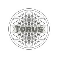 Torus LLC logo - Similar company to Ewano Health Supplements