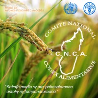 Codex Alimentarius Madagascar logo - Similar company to Codex Alimentarius Ro