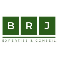 BRJ EXPERTISE & CONSEIL logo - Similar company to Batichiffrage