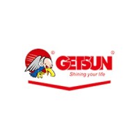 Guangzhou Getsun Car Care Co., Ltd. logo - Similar company to Autowix