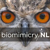 biomimicryNL logo - Similar company to Estmi
