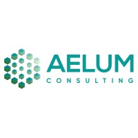 Aelum Consulting - ServiceNow Premier Partner logo - Similar company to Aleum Usa