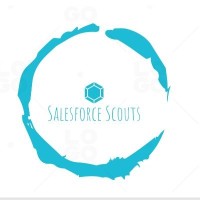 Salesforce Scouts logo - Similar company to Devman3