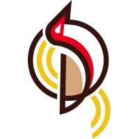 Skyparrow logo - Similar company to Digiplexo Private Limited