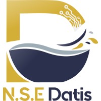 NSE Datis logo - Similar company to Edmp