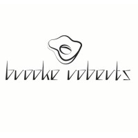 Brooke Roberts Limited logo - Similar company to Seed Studio Ai