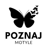 Poznaj Motyle logo - Similar company to Allinare