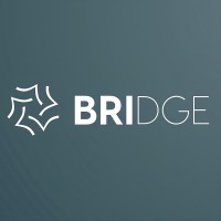 BridgeLinkLLC logo - Similar company to Bits By Sugar