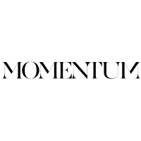 TheMomentum logo - Similar company to The101.World