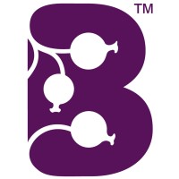 New Zealand Blackcurrant Co-Operative logo - Similar company to Visual Intelligence Ltd