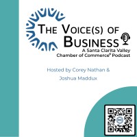 The Voices Of Business logo - Similar company to The Passionality Group
