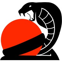 ASET JAPAN logo - Similar company to Ofapay
