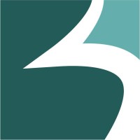 Belt Road Capital Investment Group logo - Similar company to Canopy Sands Development