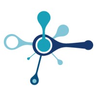 Vidusys logo - Similar company to Futureplus Technologies