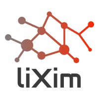 Lixim logo - Similar company to Maxray
