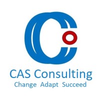 CAS Consulting Ltd logo - Similar company to Cas Consulting