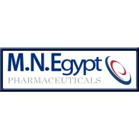 MN Egypt logo - Similar company to Technomad Group