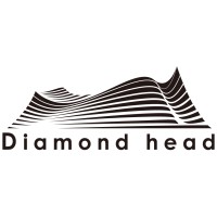 Diamondhead Co., Ltd. logo - Similar company to Stipnetz
