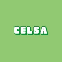 Celsa SRL logo - Similar company to Turconi Spa
