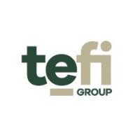 Tefi Group logo - Similar company to Paladon Development Group