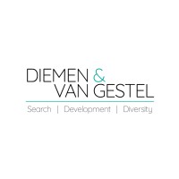 Diemen & Van Gestel logo - Similar company to Tbw