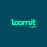 loomit logo - Similar company to X3M