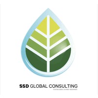 SSD Global Consulting logo - Similar company to Customized Management Solutions-Social Marketing