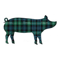 The Tartan Pig logo - Similar company to Ess Ltd
