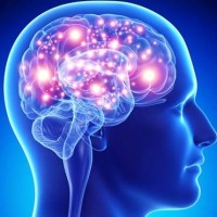 Chicago Brain Health, Dr. Joseph Shoshana logo - Similar company to University Of Chicago Master Of Public Health