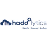 Hadoolytics Technologies Inc logo - Similar company to Gowebndigital Technologies