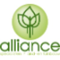 Alliance BV logo - Similar company to Grensloos E-Logistics & E-Commerce