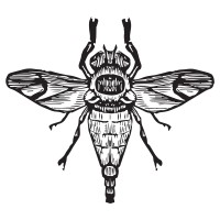 Gadfly Ltd. logo - Similar company to Tactile Turn