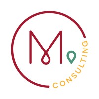 Minerva Consulting logo - Similar company to Minerva Consulting, Llc