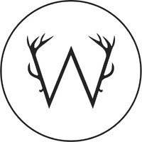 WCARNES SpA logo - Similar company to Inversiones Golan