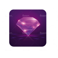 Facet Inc.