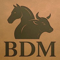 BDM Equinos logo - Similar company to Equinos