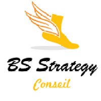 BS Strategy logo - Similar company to Bs Academy