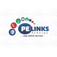 Pelinks logo - Similar company to Snappie Analytics Ltd