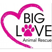 Big Love Animal Rescue logo - Similar company to Animal Rescue Veterinary Services