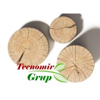 Tecnomir Grup logo - Similar company to Vasco Forest