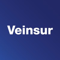 Veinsur logo - Similar company to Ichem Supply & Logistics