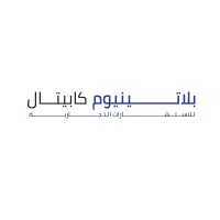 Platinum Capital Co. logo - Similar company to Prismartec India Pvt. Ltd.