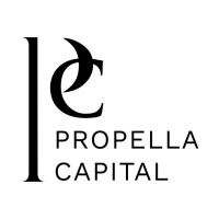 Propella Capital logo - Similar company to Pirsum Pro