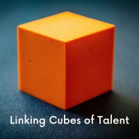 Lynkube logo - Similar company to Entromind