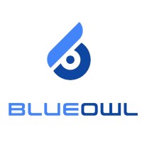 Blue Owl AI logo - Similar company to Ai For Rural