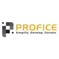 Profice Solutions logo - Similar company to Bixcel Tech