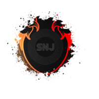 SNJ GAME logo - Similar company to Adt