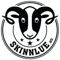 Skinnlue.no logo - Similar company to Insentis Gmbh